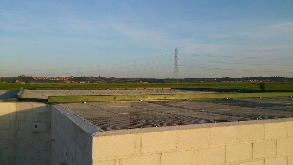 Fundación Aquila