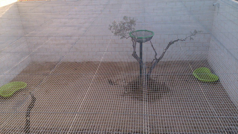 Fundación Aquila